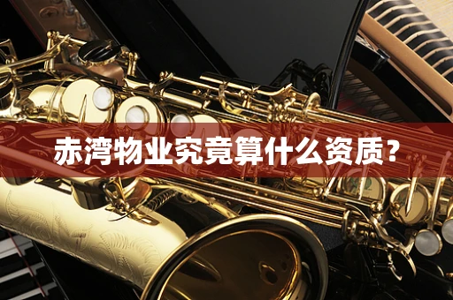 赤湾物业究竟算什么资质？