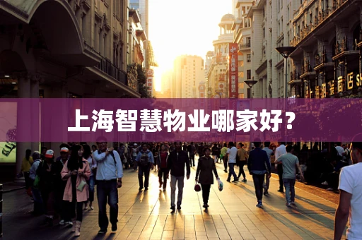 上海智慧物业哪家好？
