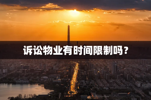 诉讼物业有时间限制吗？
