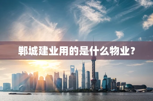 郸城建业用的是什么物业？