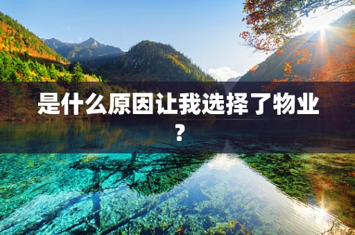 是什么原因让我选择了物业？