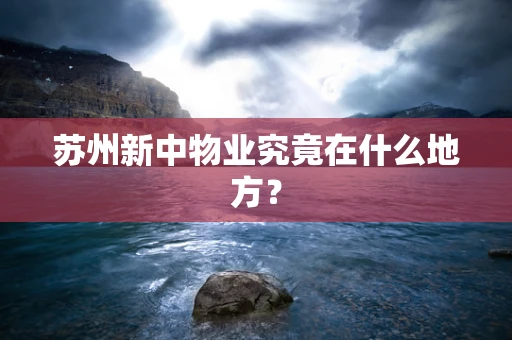 苏州新中物业究竟在什么地方？