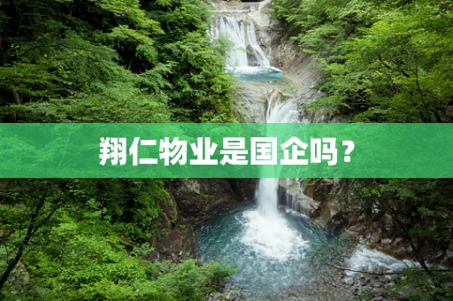 翔仁物业是国企吗？