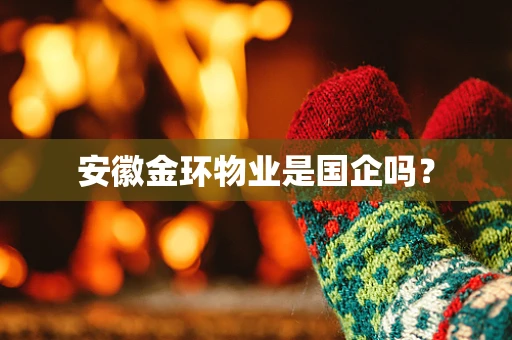 安徽金环物业是国企吗？