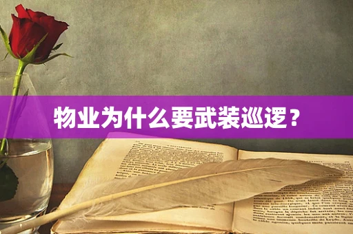 物业为什么要武装巡逻？