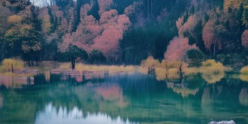 襄阳小区物业会收费吗？