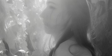 合肥物业砍树违法吗？